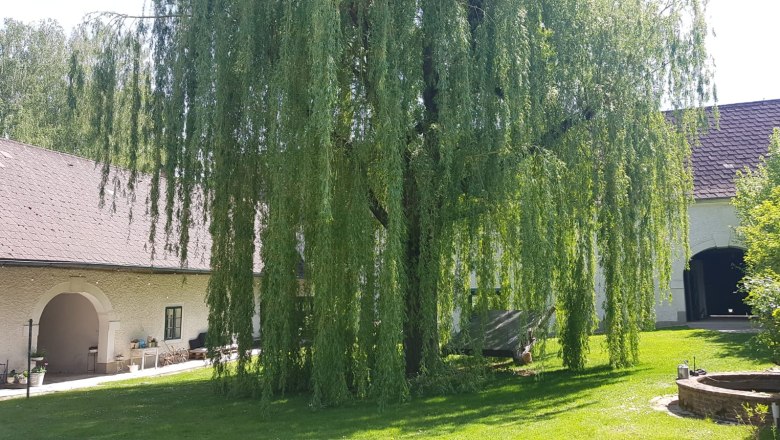 Innenhof, © Oliver Szilagyi Innenhof, © Oliver Szilagyi