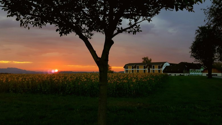 Panorama, © Mostlandhof Panorama, © Mostlandhof