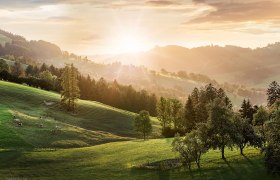 Wiesberg, © schwarz.koenig.at Wiesberg, © schwarz.koenig.at