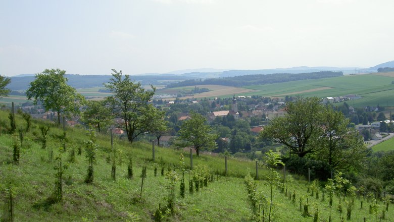 Sieghartskirchen, © Marktgemeinde Sieghartskirchen Landschaft mit Hügeln, Bäumen und einem Dorf im Hintergrund.