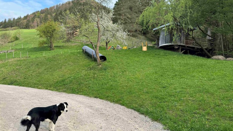 Spielplatz Sunnseit´n, © Mostviertel Tourismus Spielplatz Sunnseit´n, © Mostviertel Tourismus