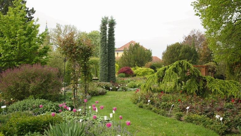 Ideen für den Garten, © Gärtner Starkl Ein gepflegter Garten mit bunten Blumen, Bäumen und Sträuchern, im Hintergrund ein Gebäude mit rotem Dach.