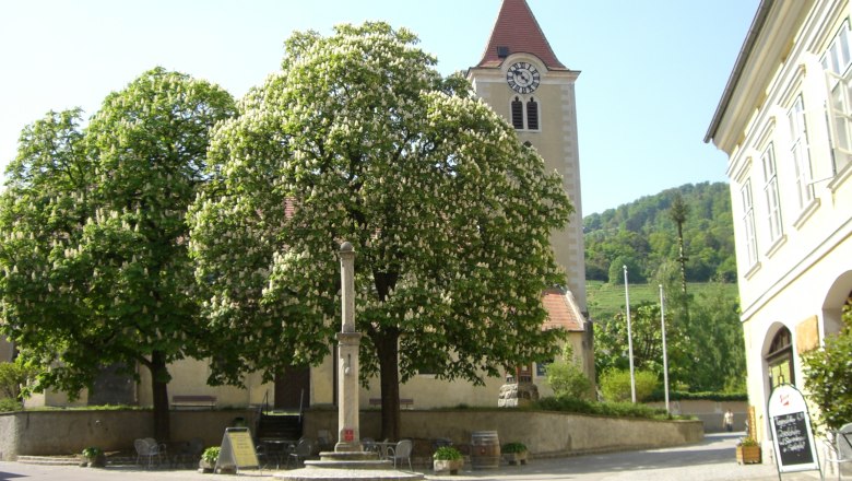 Pfarrkirche Rossatz, © Robert Schütz Pfarrkirche Rossatz mit Kirchturm und blühenden Bäumen im Vordergrund.