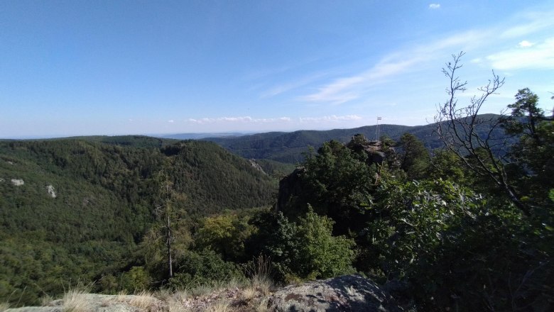 Schanzriedel Aussicht, © Donau NÖ Tourismus Schanzriedel Aussicht, © Donau NÖ Tourismus