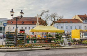 Wochenmarkt Stockerau, © Johannes Ehn Wochenmarkt in Stockerau mit gelbem Zelt und Blumenständen.