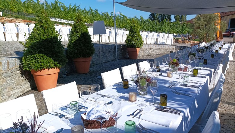 Tafeln im Weinviertel, © Weinviertel Tourismus GmbH Langer, festlich gedeckter Tisch im Freien mit weißen Tischdecken und Stühlen, umgeben von Pflanzen und unter einem Sonnensegel.