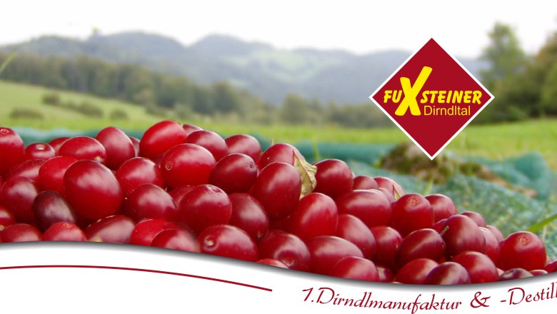 FuXsteiner, © zVg Rote Früchte auf einem Feld mit Logo der Marke FuXsteiner Dirndltal.