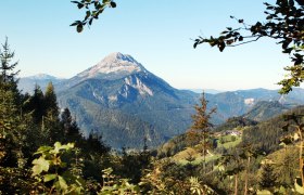 Ausblick Alpenhotel Gösing, © weinfranz.at Ausblick Alpenhotel Gösing, © weinfranz.at