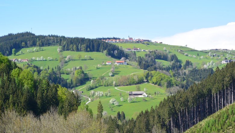 Himbrechtsöd, © Himbrechtsöd Himbrechtsöd, © Himbrechtsöd