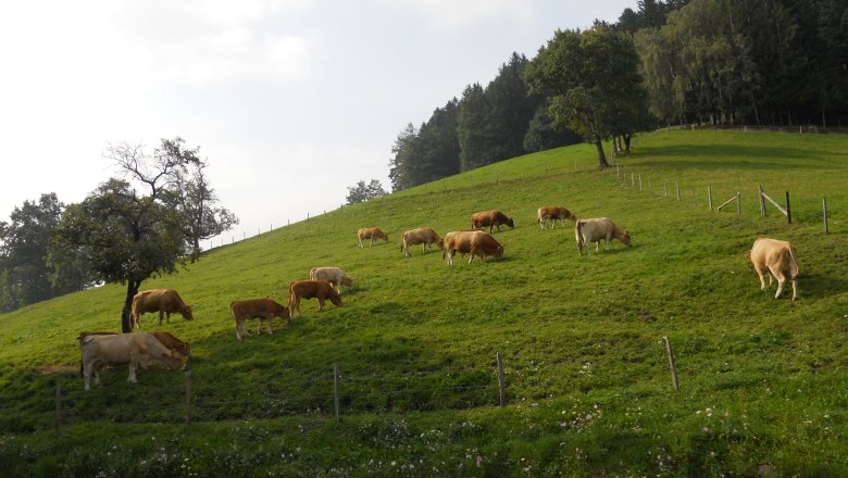 Himbrechtsöd, © Himbrechtsöd Himbrechtsöd, © Himbrechtsöd