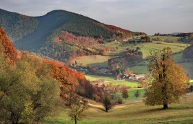 Der Wienerwald, © Gasthof zur Bruthenne Der Wienerwald, © Gasthof zur Bruthenne