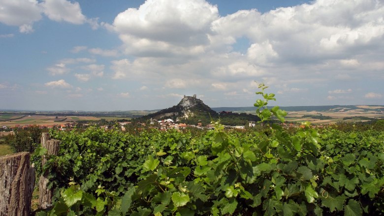 Staatzer Berg, © Seymannfilm Blick auf den Staatzer Berg mit Ruine, umgeben von Weinbergen und Feldern unter blauem Himmel mit Wolken.