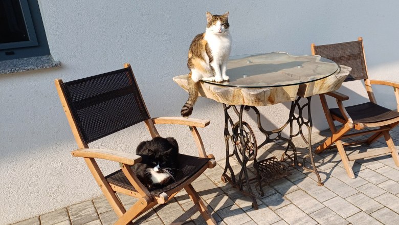 Schnurli und Lilly, © Martina Bachzelt Schnurli und Lilly, © Martina Bachzelt