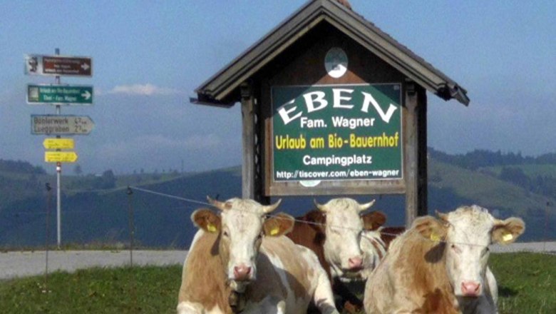 Zufahrtsstrasse, © Gottfried & Rosina Wagner Zufahrtsstrasse, © Gottfried & Rosina Wagner