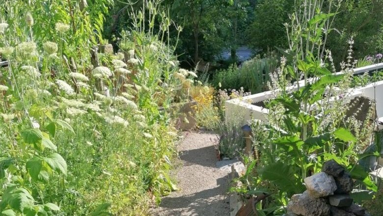 Naturgartenelemente und Pflanzenvielfalt, © Tina Perina Ein schmaler Gartenweg mit üppiger Vegetation und einem Steinhaufen.