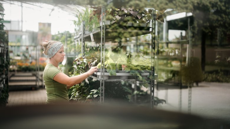 Starkl Erlebnisgarten, © Moststraße, dochbodnliacht Starkl Erlebnisgarten, © Moststraße, dochbodnliacht