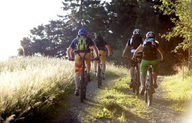 Geführte Biketouren, © Wiener Alpen, Thomas Bartl, Mountainbikeguides.com Gruppe von Radfahrern auf einem Waldweg bei Sonnenschein.