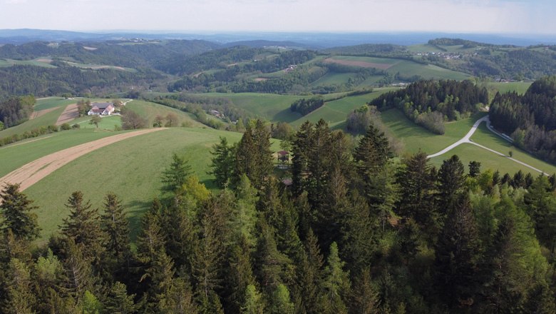 Aussicht bis ins Süd-Burgenland und die Ost-Steiermark, © WIA/CW Landschaft mit Hügeln, Wäldern und Feldern Richtung Süd-Burgenland und Ost-Steiermark.