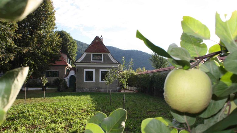 Gartenansicht im Bioweingut Schmidl, © Weingut Schmidl Gartenansicht mit kleinem Haus und Obstbaum im Vordergrund.