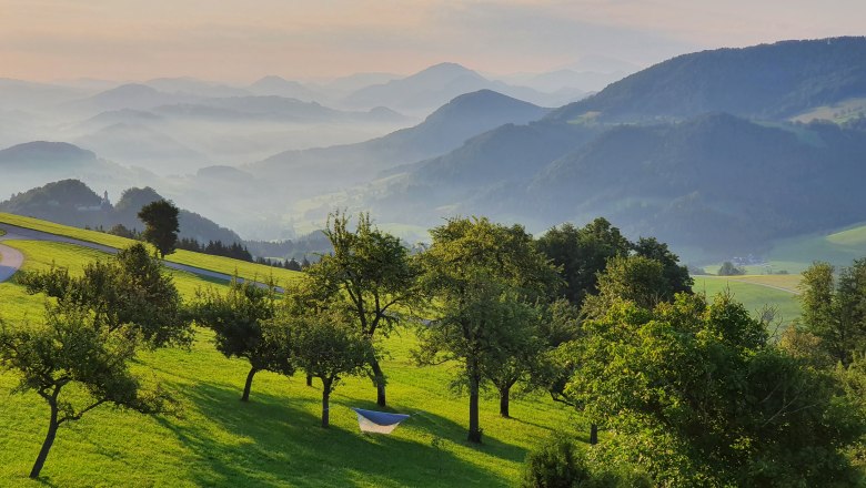 Biobauernhof Mitterhirschberg, © Familie Schweighuber Biobauernhof Mitterhirschberg, © Familie Schweighuber