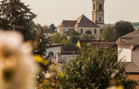 Weinherbst in Niederösterreich, Donau in Niederösterreich, © Niederösterreich Werbung/Discover Austria In der sanften Hügellandschaft blühen die Rosen in voller Pracht und umrahmen die malerische Kirche, die stolz über das Dorf wacht. Die goldenen Strahlen der Sonne tauchen die Szenerie in ein warmes Licht und laden dazu ein, die Schönheit der Natur zu genießen.