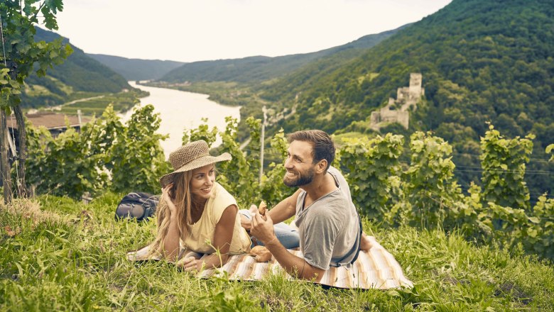 Ruine Hinterhaus, © Andreas Hofer Ruine Hinterhaus, © Andreas Hofer