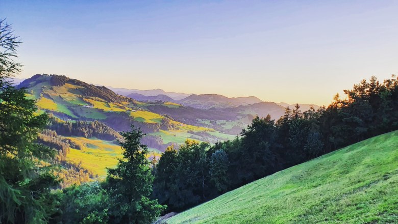 IMG_20220702_205644_850, © Familie Schweighuber IMG_20220702_205644_850, © Familie Schweighuber