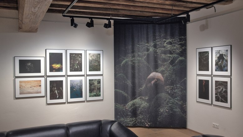 FineArtGallerie Traismauer Ausstellung, © FineArtGallerie Innenansicht einer Kunstgalerie mit Fotografien an den Wänden und schwarzen Ledersofas.
