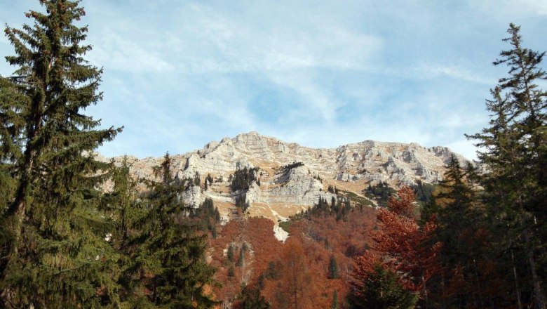 Dürrenstein, © weinfranz.at Berglandschaft mit dem Dürrenstein im Hintergrund, umgeben von Nadelbäumen und herbstlich gefärbtem Laub.