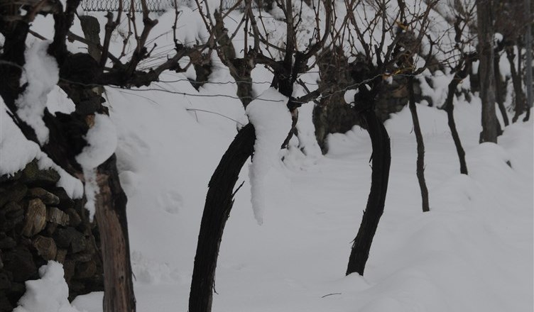 15-garten-winter, © Gabriele Prandstetter 15-garten-winter, © Gabriele Prandstetter