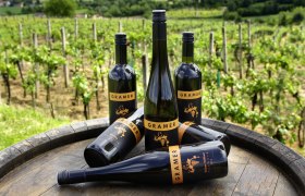 Weinbau Familie Gramer, © fotostudio-wurst.at Weinbau Familie Gramer, © fotostudio-wurst.at