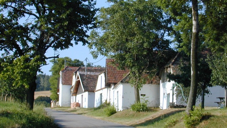 Kellergasse, © Gemeinde Stronsdorf Eine ländliche Straße mit weißen Häusern und Bäumen an einem sonnigen Tag.