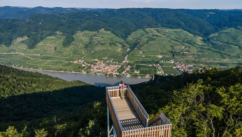Ausblick von der Seekopf-Warte, © Robert Herbst Aussichtsplattform mit Blick auf Fluss und Weinberge in einer grünen Landschaft.