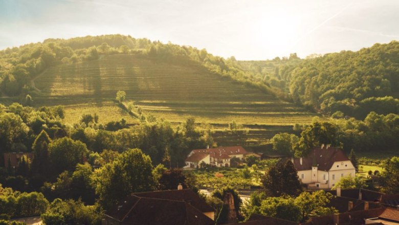 Weingut Heltihof, © Weingut Faltl Weingut in hügeliger Landschaft mit Weinbergen und Gebäuden im Sonnenlicht.