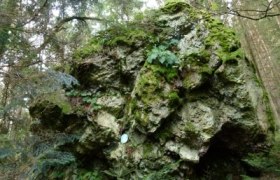 R1_Wandern in Hollenthon _Runde Spratzeck - Gleichenbach - Obereck-Hollenthon, © Wiener Alpen in Niederösterreich - Bad Schönau R1_Wandern in Hollenthon _Runde Spratzeck - Gleichenbach - Obereck-Hollenthon, © Wiener Alpen in Niederösterreich - Bad Schönau