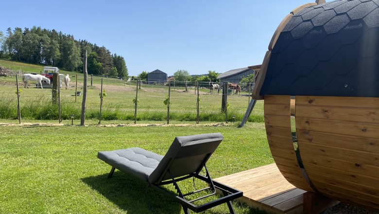 Blick auf die Koppel über die Terasse, © Andreas Artner Blick auf die Koppel über die Terasse, © Andreas Artner