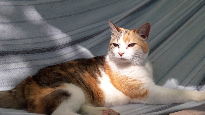 1000100842, © Peter Katzenschlager 1000100842, © Peter Katzenschlager