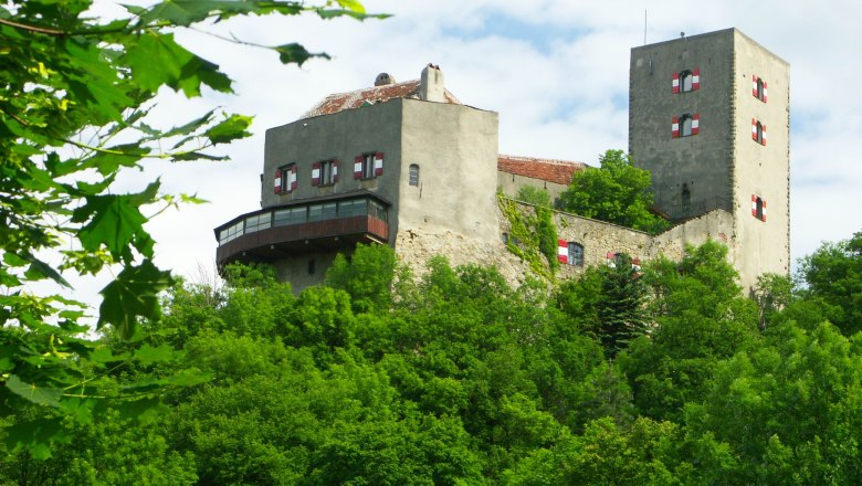 Burg Greifenstein, © Donau Niederösterreich Burg Greifenstein auf einem bewaldeten Hügel mit blauem Himmel im Hintergrund.