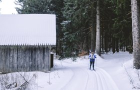 Langlaufen in Gutenbrunn, © Niederösterreich Werbung/Kathrin Schlager Person beim Skilanglauf im verschneiten Wald neben einer Holzhütte.