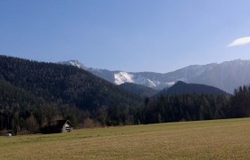 Scheiklhöhe_Rundweg_6_Stengelloser Enzian, © Nordisches Zentrum St. Aegyd Scheiklhöhe_Rundweg_6_Stengelloser Enzian, © Nordisches Zentrum St. Aegyd