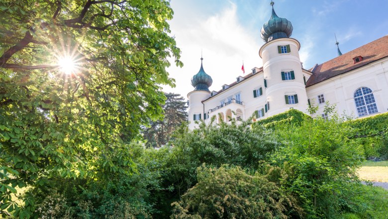 Natur im Schlosspark Artstetten, © Schloss Artstetten Schloss Artstetten mit grüner Vegetation im Vordergrund und Sonnenstrahlen durch die Bäume.