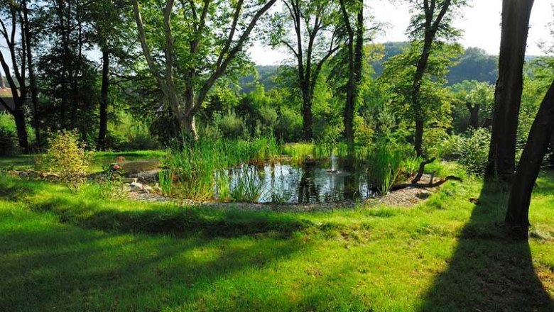 Historisches Parkareal, © Schlosspark/mesonic Historisches Parkareal, © Schlosspark/mesonic
