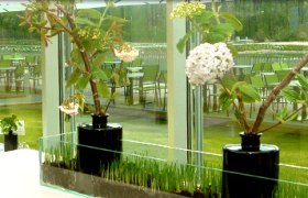 Innenansicht, © Josef Pichler Innenansicht eines modernen Cafés mit großen Fenstern und Pflanzen.