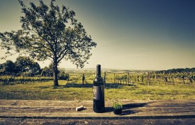 Hörstation Die drei Rieden, VIA.CARNUNTUM., © Donau Niederösterreich, Andreas Hofer Hörstation Die drei Rieden, VIA.CARNUNTUM., © Donau Niederösterreich, Andreas Hofer