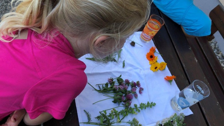 erlebnisse-am-karnerhof, © Karnerhof erlebnisse-am-karnerhof, © Karnerhof