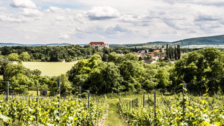 Monopollage Steinbügel, © Robert Herbst Weinberge mit einem Schloss im Hintergrund, umgeben von grüner Landschaft und bewölktem Himmel.