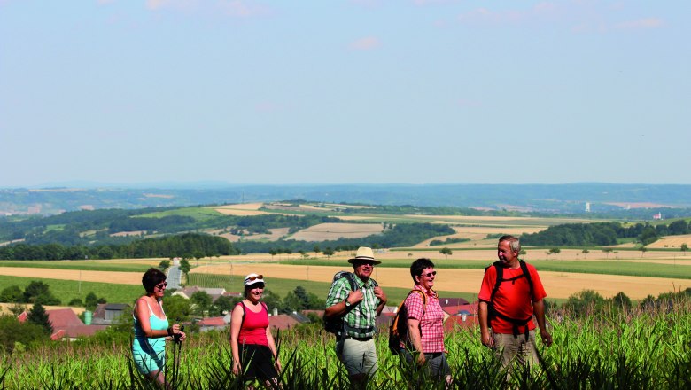 Wanderer unterwegs "Auf da Hoad", © Stadtgemeinde Maissau Gruppe von Wanderern auf einem Feldweg mit weiter Landschaft im Hintergrund.