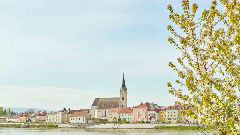 Stadtgemeinde Ybbs, © Klaus Engelmayer Blick auf die Stadtgemeinde Ybbs an der Donau mit blühendem Baum im Vordergrund.