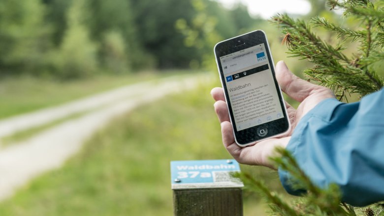 Spuren, © Waldviertel Tourismus, Studio Kerschbaum Person hält Smartphone im Wald, zeigt Informationen zur Waldbahn an.