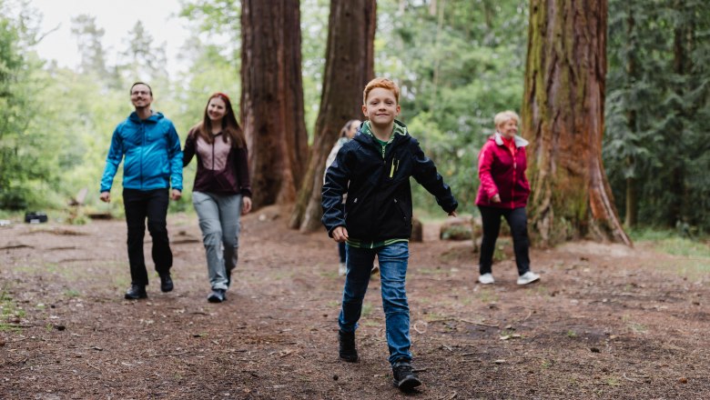 Familie erlebt den Heilwald Göttweig, © Alexander Pfeffel Photography Gruppe von Menschen spaziert durch einen Wald mit hohen Bäumen.